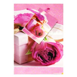 Bolsa de Regalo Miniatura Mate Dama  (17 X 11.5 CM)