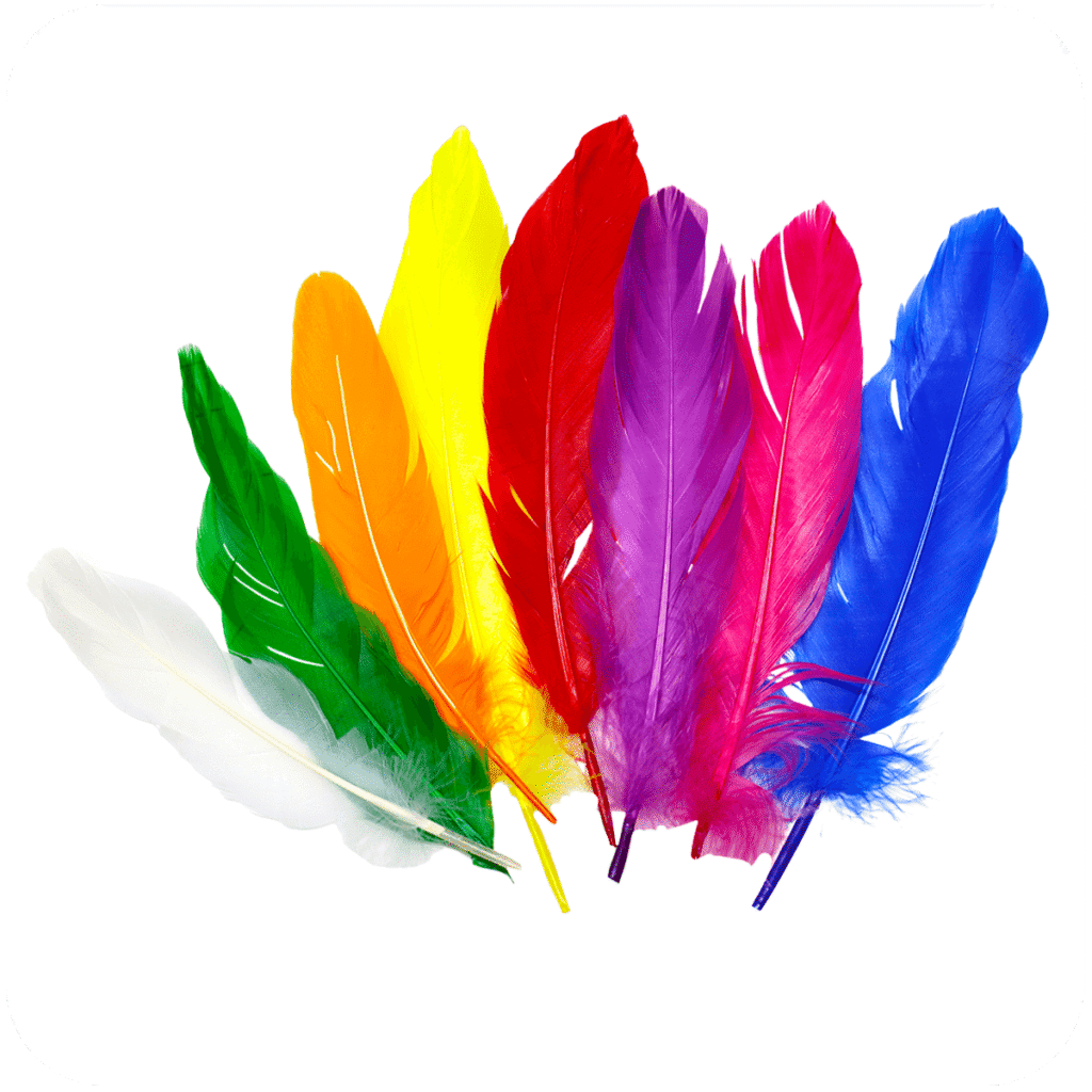 Plumas de Colores