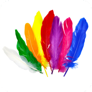 Plumas de Colores